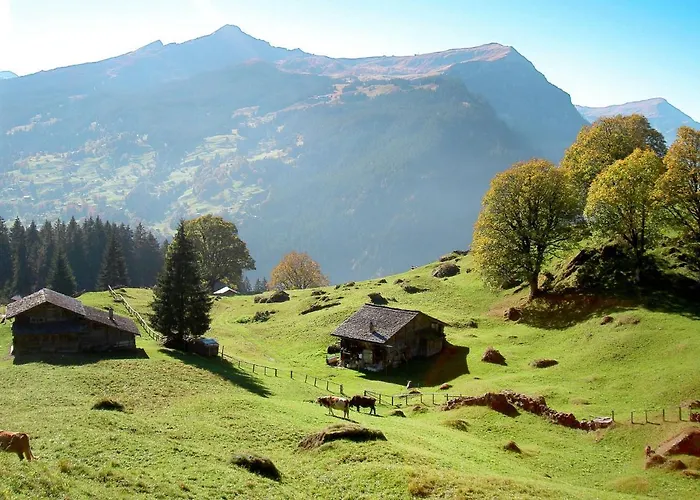 アパート Desiree By Interhome